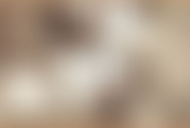 Dal corredo nuziale a un nuovo modo di abitare