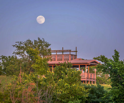 Observation Tower