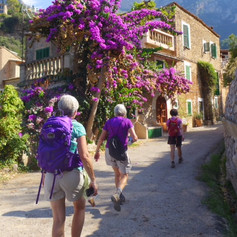 Port Soller to Deia Hiking 20.jpeg