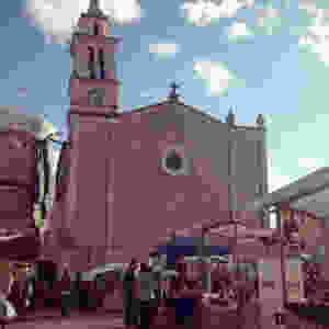 Caimari Olive Fair.jpeg