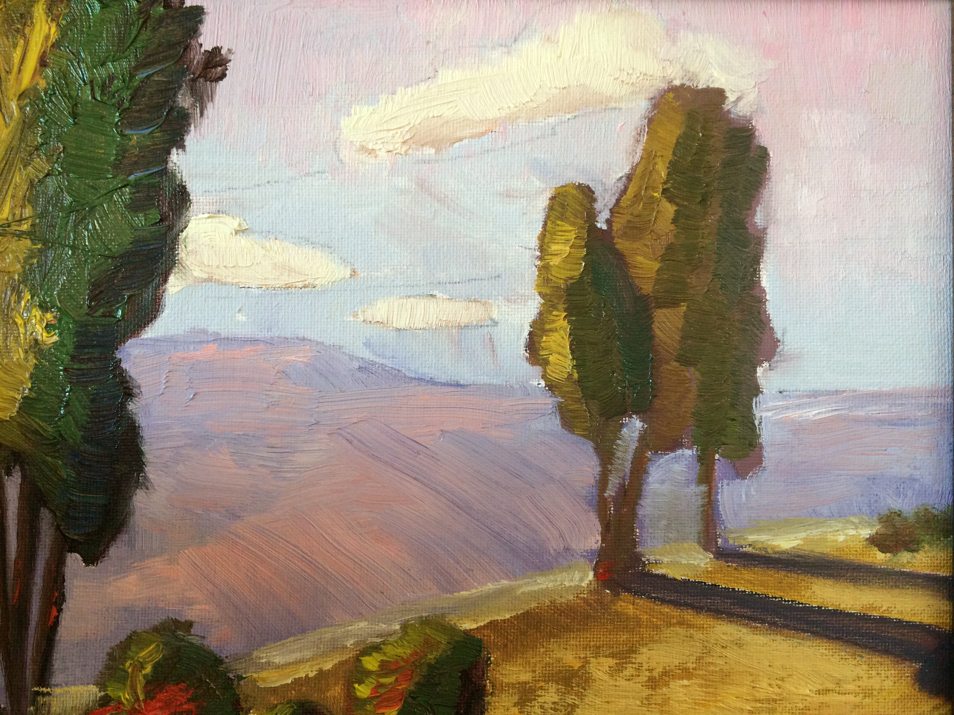 Trees and Plains
