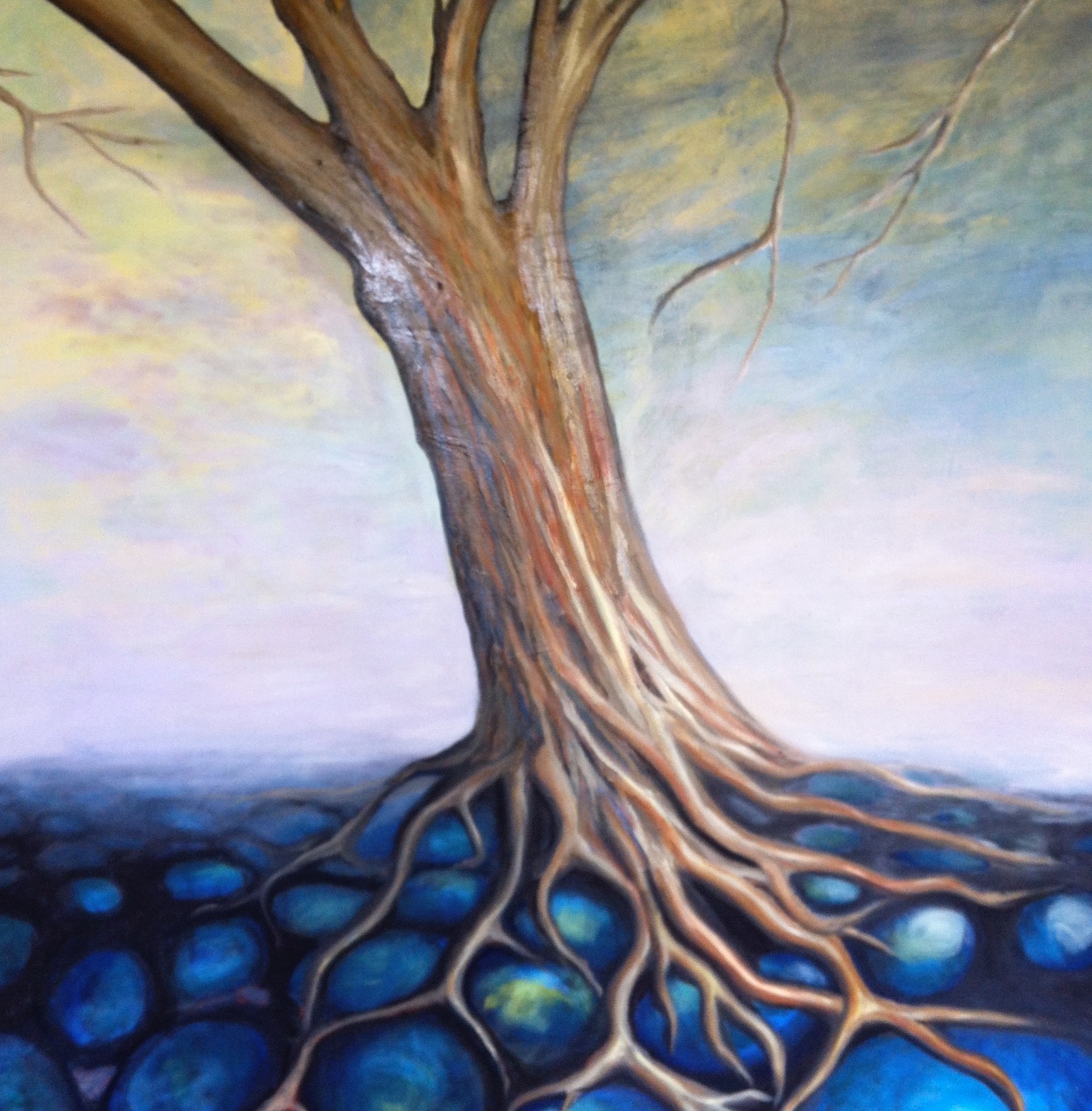 Tree on stones