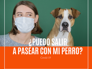 ¿PUEDO SALIR A PASEAR CON MI PERRO?