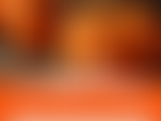 La calabaza ¿Se la darías a tu perro?