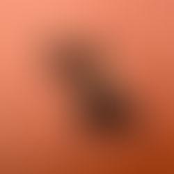 Stylish Gifts for the Fashion-Obsessed Friend