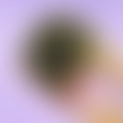 Bitcoin for Beginners // Your Friendly Guide to Getting Started