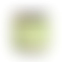 Gut Feeling: Why Probiotics Matter (and What to Try)