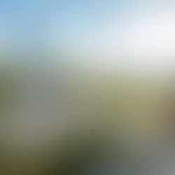 Ramadan 2025 at The Beach, JBR // Entertainment, Fireworks & Exclusive Dining Deals