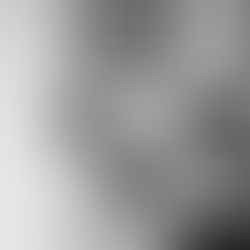 The Power Of Community // Sisterhood Collective Launches In Abu Dhabi