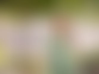 Other Women's Jobs // Kanupriya Saraf