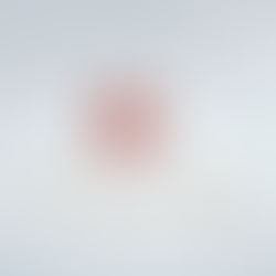 Lily Collins On Surrogacy // The Many Paths to Parenthood