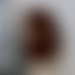 Hot In The Shops // NEOUS Elegance 