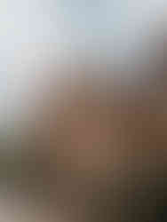 Millbridge Court wedding venue in Surrey