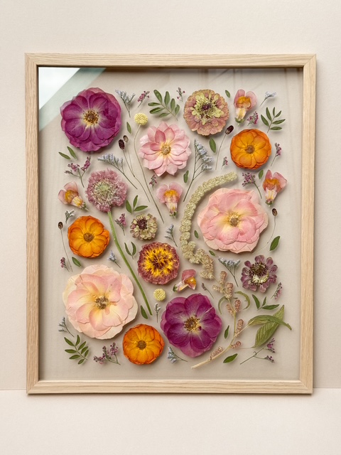 colourful framed pressed flowers