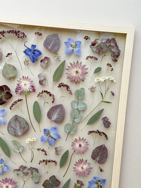 pressed flowers in cold tones of blue and purple
