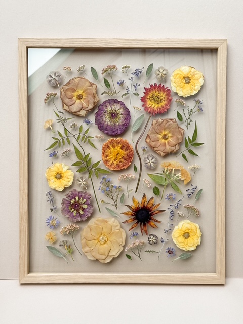 beautiful pressed flowers in a frame