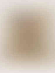 beautiful pressed flowers in a frame