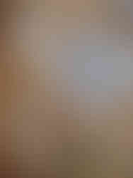 colourful aisle flowers