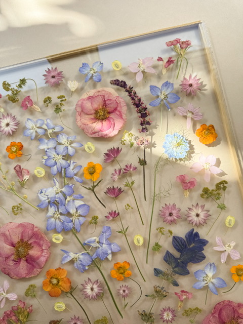 pressed flower preservation