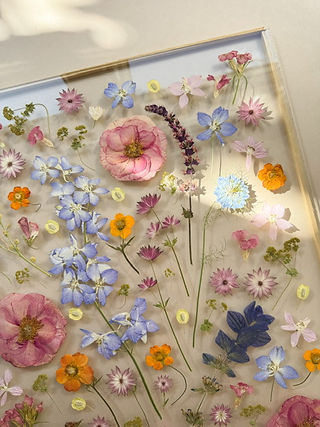 pressed flower preservation