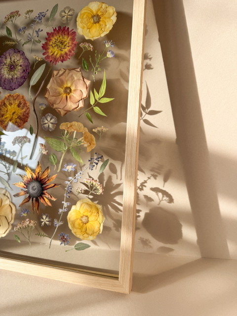 pressed flowers in warm colours