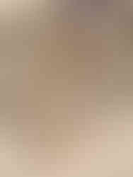 pressed flower preservation