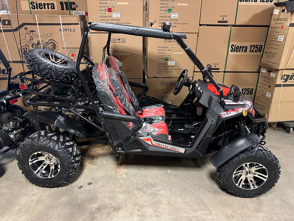 Thumbnail: TTC K7 300EX Adult Dune Buggy