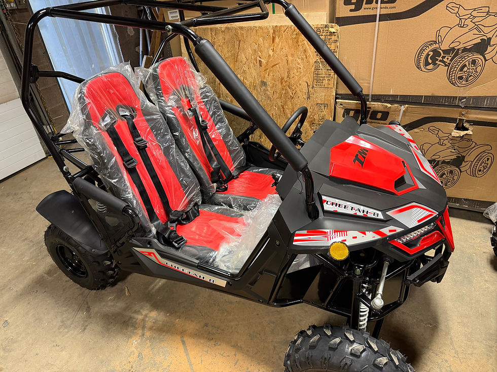 Thumbnail: TTC K3 Youth Dune Buggy 7hp (ages 6 to 10)