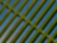 Solar farm 2_edited.jpg