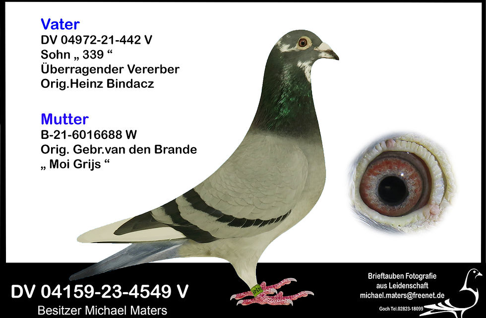 DV 04391-20-1371 V_edited.jpg