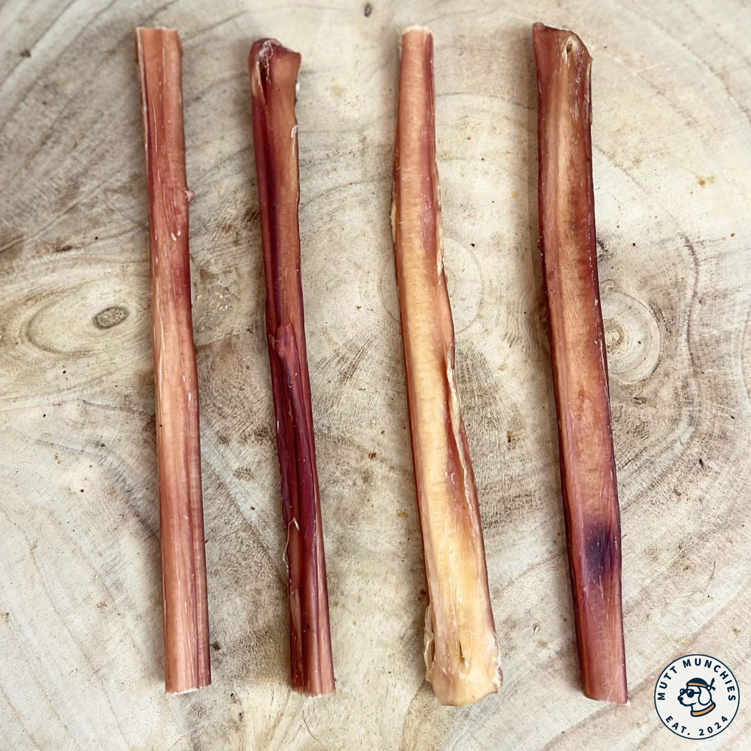 Bull Pizzle - Large 24cm