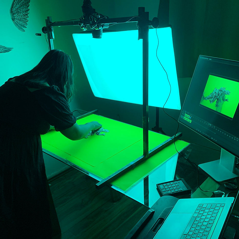 Stop motion