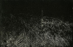 luz de noche