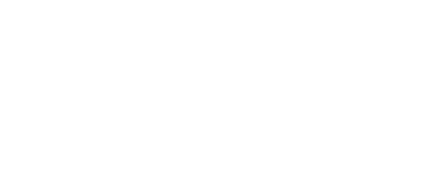 Sfin Logo