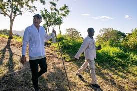 Odious Innocence: Dr. Tufton and Jamaica’s Health Sector