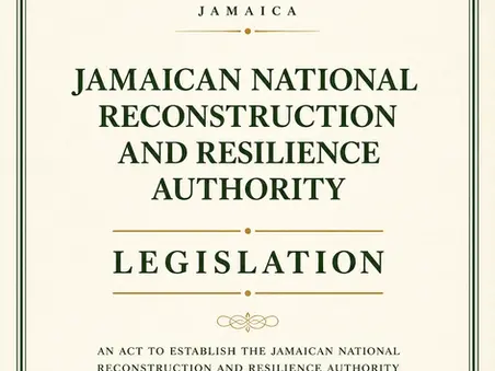 The legislation (a cover page) being discussed for national reconstruction and resilience; an authority otherwise called NARRA.