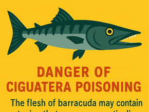 What are the Dangers of Eating Barracuda? - An AI Generated Image saying Do Not Eat Barracuda: Danger of Ciguatera Poisoning. The flesh of barracuda may contain toxins that cause nausea, tingling, and weakness. Symptoms can last for Months. Avoid This Fish!
