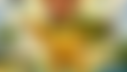 The Golden Calf of Competence