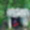 117952240_134790538317802_6699433659080676799_n(1).jpg