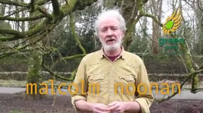 Malcolm Noonan speaks on Ash Dieback
