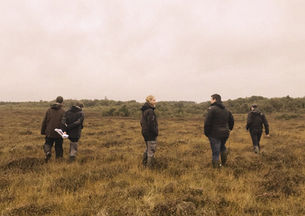 Strategic review of the National Parks and Wildlife Service begins