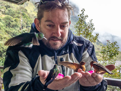 Motorcyclist hand-feeding hummingbirds in Colombia’s Coffee Region, Andes wildlife experience during motorcycle tour.