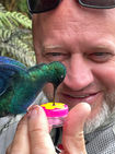 Close-up of hummingbird feeding from bottle cap held by rider, Coffee Region Colombia.