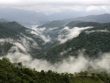 A Comprehensive Guide