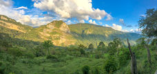 Green Andean valley on Medellín motorcycle rental ride.