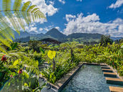 Scenic eco-lodge pool with mountain backdrop and tropical plants in Colombia’s Coffee Region.