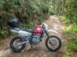 Suzuki DR650 Motorcycle Rental Colombia
