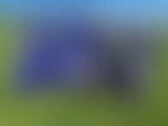 Cumann na mBunscol