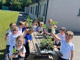 Infants have been planting!