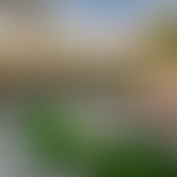 Turf Maintenance Services: Keep Your Artificial Lawn Looking Its Best